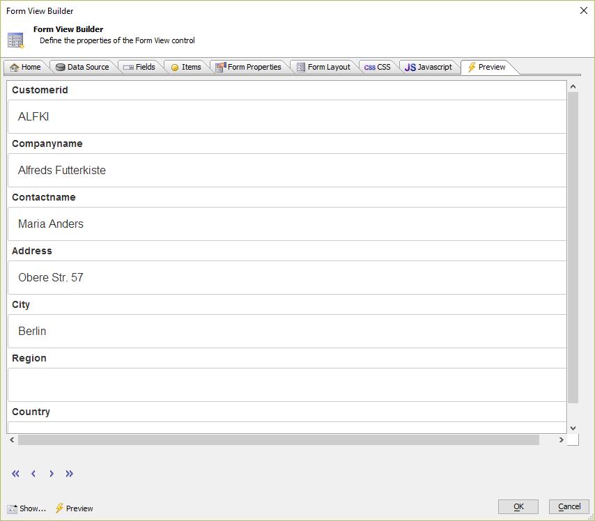 The Form View Builder Preview Tab.